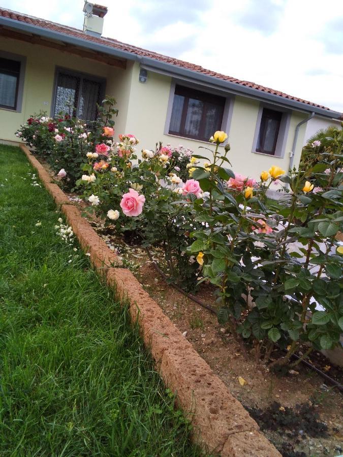 B&B Fili D'Erba Farra d'lsonzo Экстерьер фото
